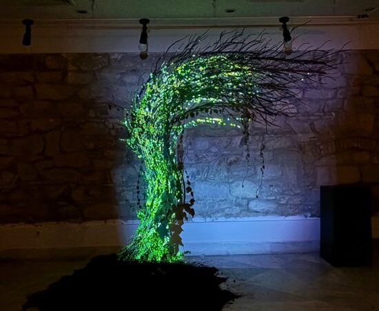 Data Tree - Exposition Palais Kheireddine