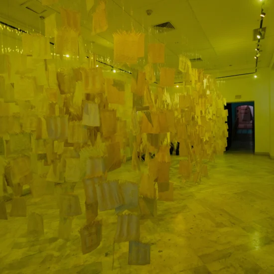 Exposition au Palais Kheireddine