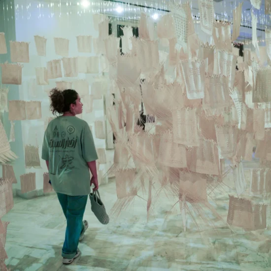 Exposition au Palais Kheireddine (2)