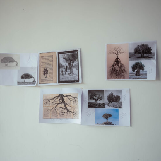 Résidence à Tilal Utique (2)